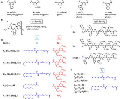 Chain-End Modifications and Sequence Arrangements of Antimicrobial Peptoids for Mediating Activity and Nano-Assembly